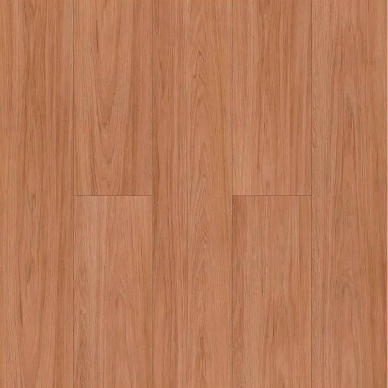 image-75b4f8d803a641ebaafa1ca48e0934f2