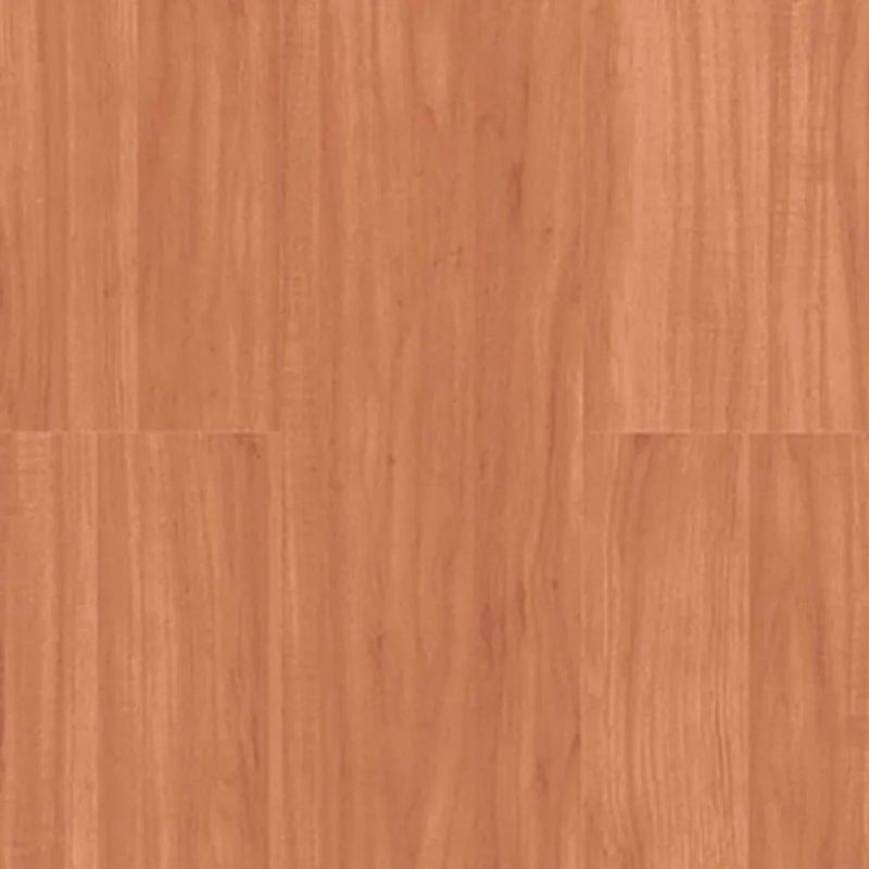 image-8e460c1259634564ad3450524067ae8e