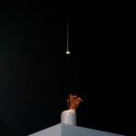 image-8c209c4c15d24480815a3e7b6d7301b9